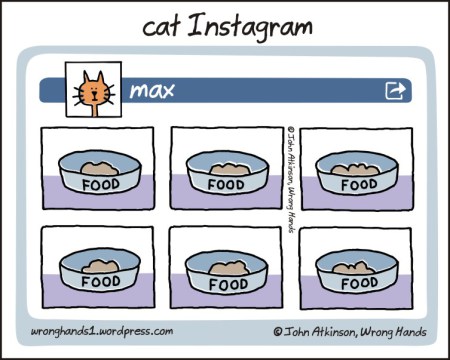 cat-instagram-page